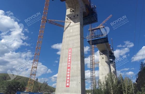 Long-Span Steel Structure Bridges with High Piers Long-Span Steel Structure Bridges with High Piers